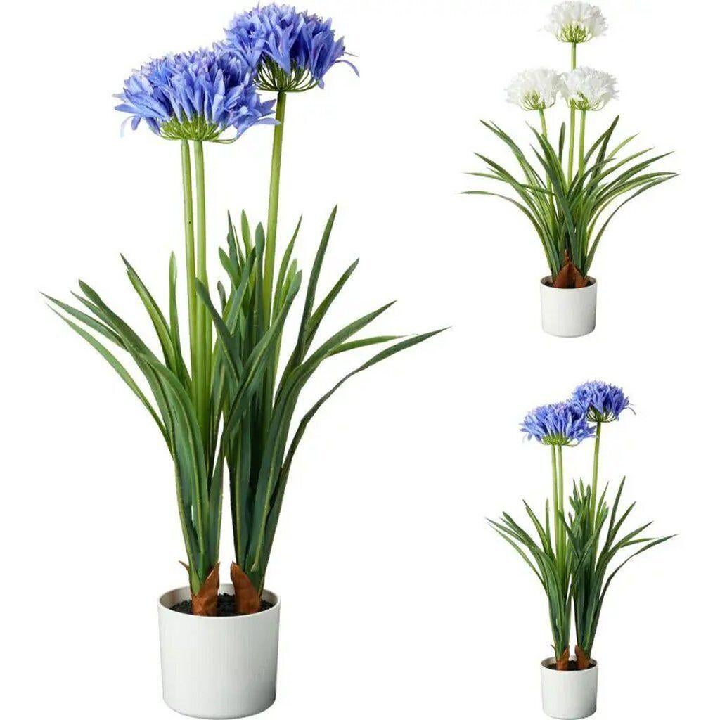 Kunstplant Agapanthus 50x80 cm Blauw/Wit, Ophalen, Binnen, Nieuw, Home & Styling