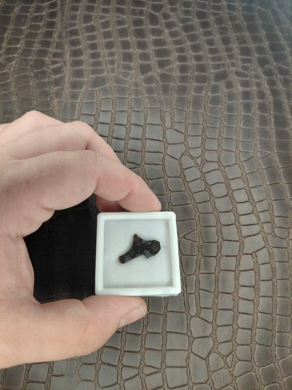 Unieke sericho meteorite plakje, Ophalen of Verzenden