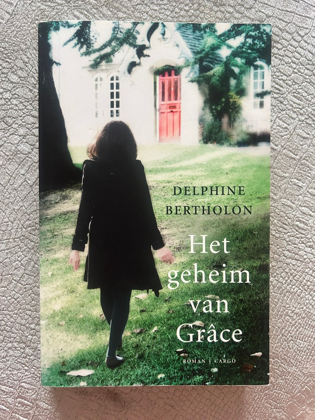 Delphine Bertholon - Het geheim van Grace, Boeken, Ophalen of Verzenden, Zo goed als nieuw, Delphine Bertholon