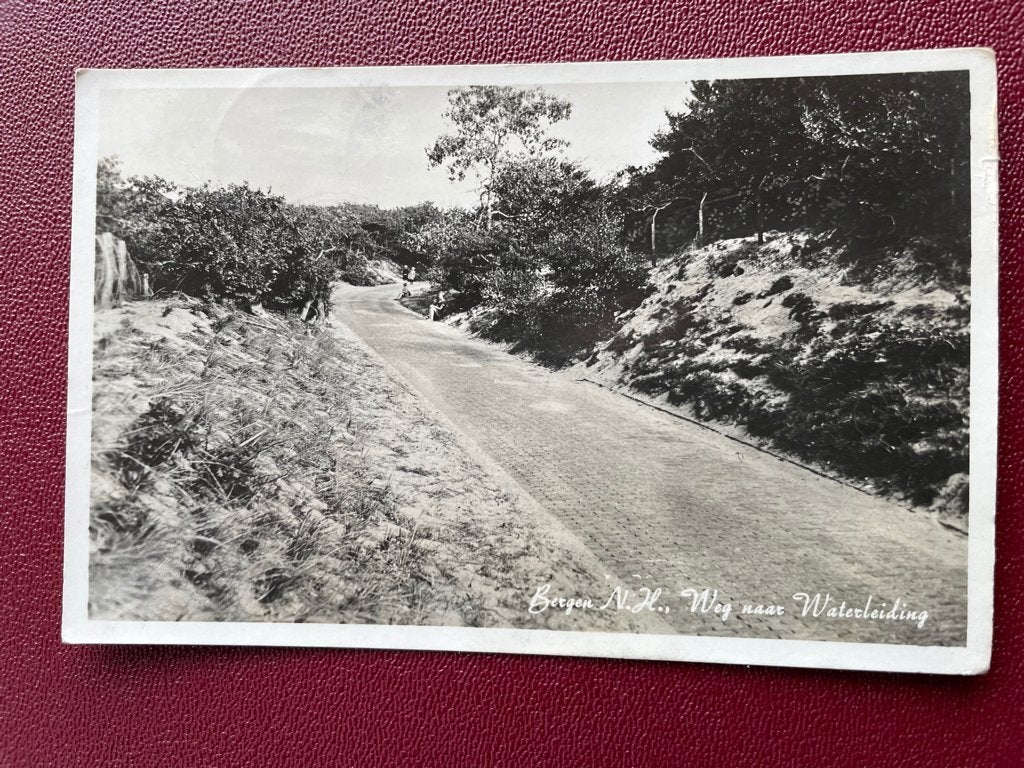 ansichtkaart van Bergen N.H. ; weg naar waterleiding., Verzamelen, Verzenden, 1920 tot 1940, Noord-Holland