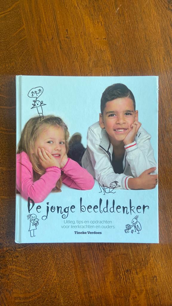 Tineke Verdoes - De jonge beelddenker, Boeken, Sociale wetenschap, Ophalen of Verzenden, Zo goed als nieuw, Tineke Verdoes