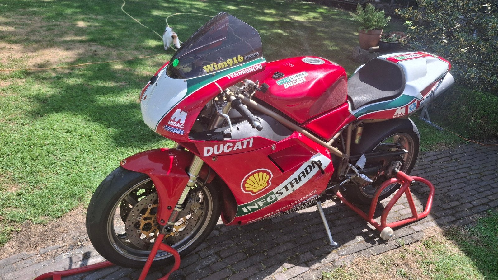 Ducati 996 Circuitmotor - Troy Bayliss Replica (2000), Particulier