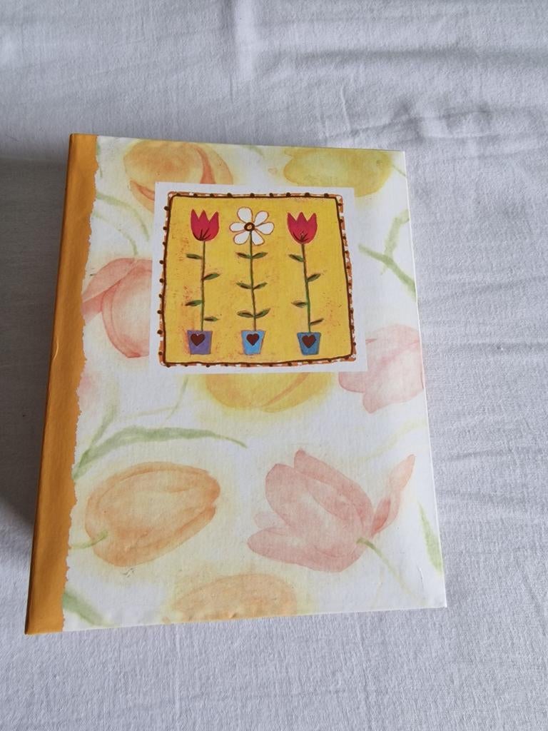 Fotoalbum met plastic mapjes, Ophalen of Verzenden