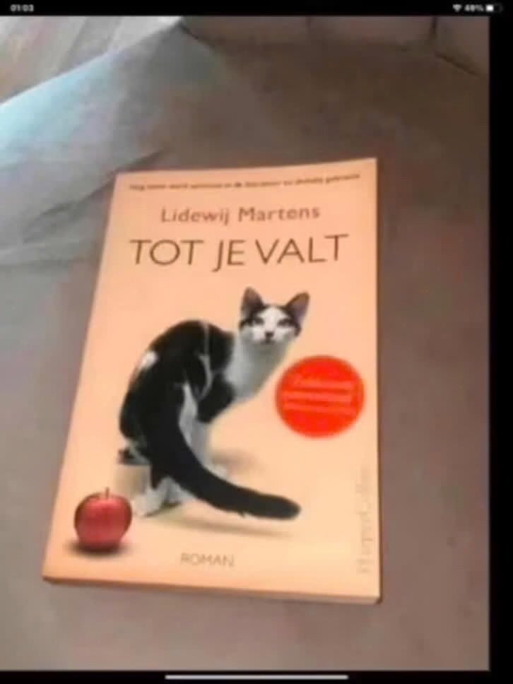 Tot Je Valt - Lidewij Martens (Roman), Gelezen, Verhaal of Roman, Ophalen of Verzenden, Lidewij Martens