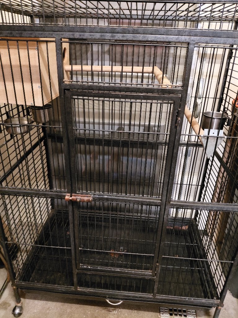 Verrijdbare papegaaien/parkieten/vogel-kooi met papegaai., Ophalen, Gebruikt, Metaal, Vogelkooi