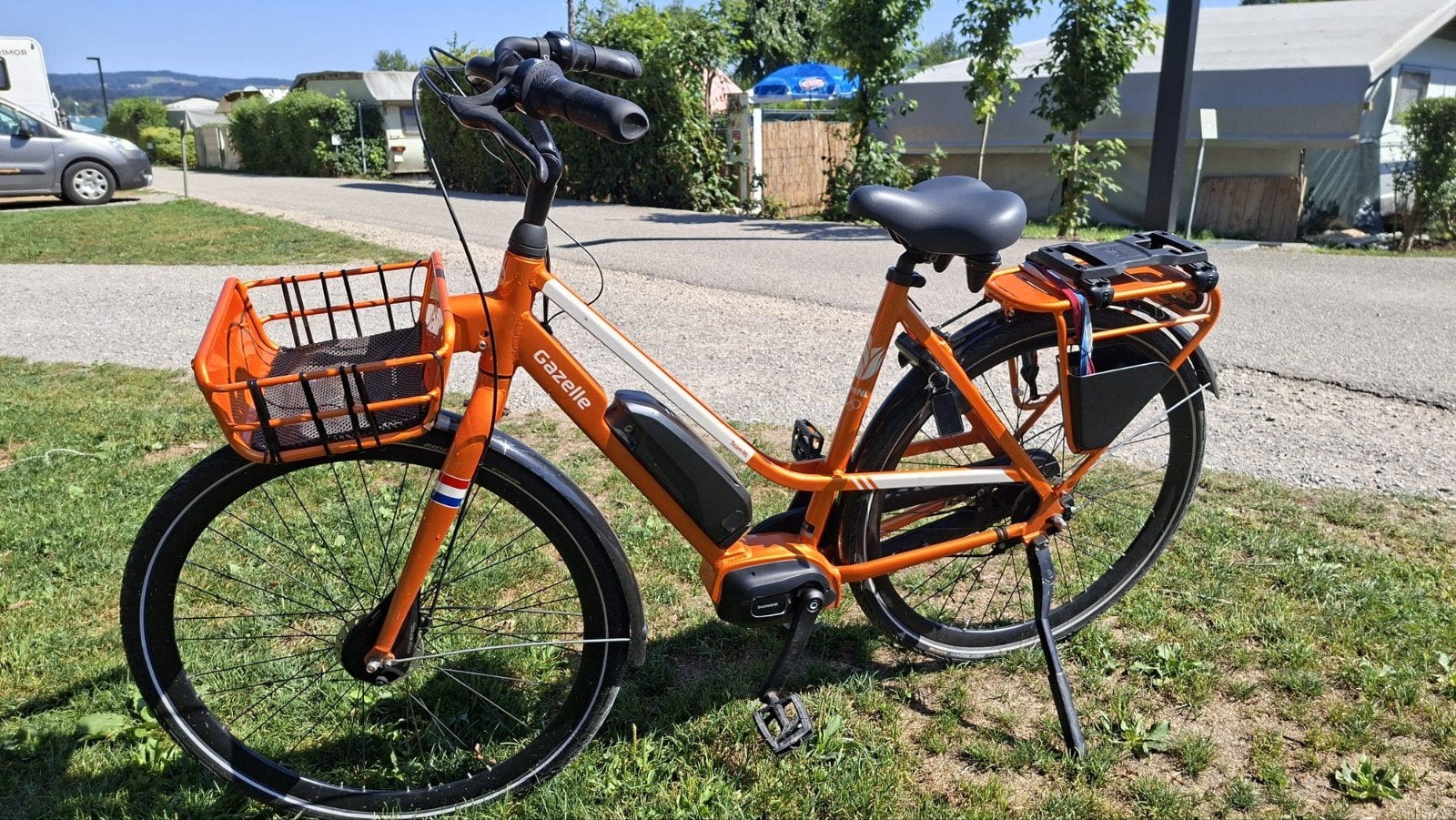 Gazelle Team NL Olympische Spelen E-bike - Uniek!, Ophalen, Zo goed als nieuw, 51 tot 55 cm, 50 km per accu of meer