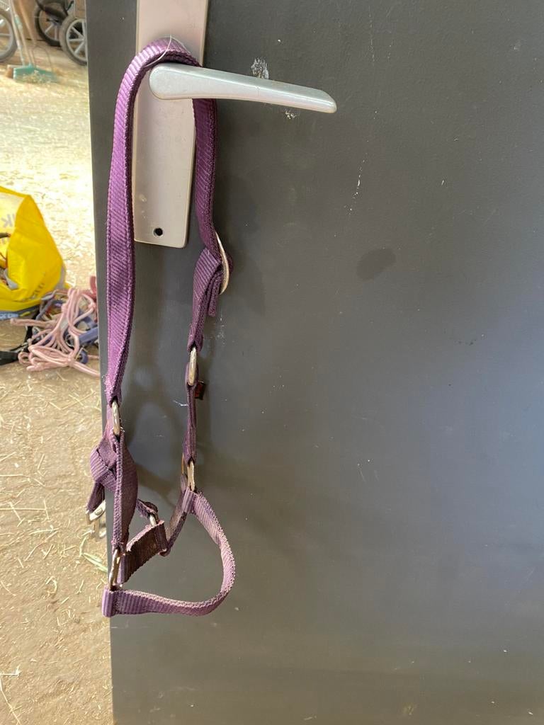 Halsters te koop, verschillende maten, Dieren en Toebehoren, Paarden en Pony's | Overige Paardenspullen, Ophalen of Verzenden