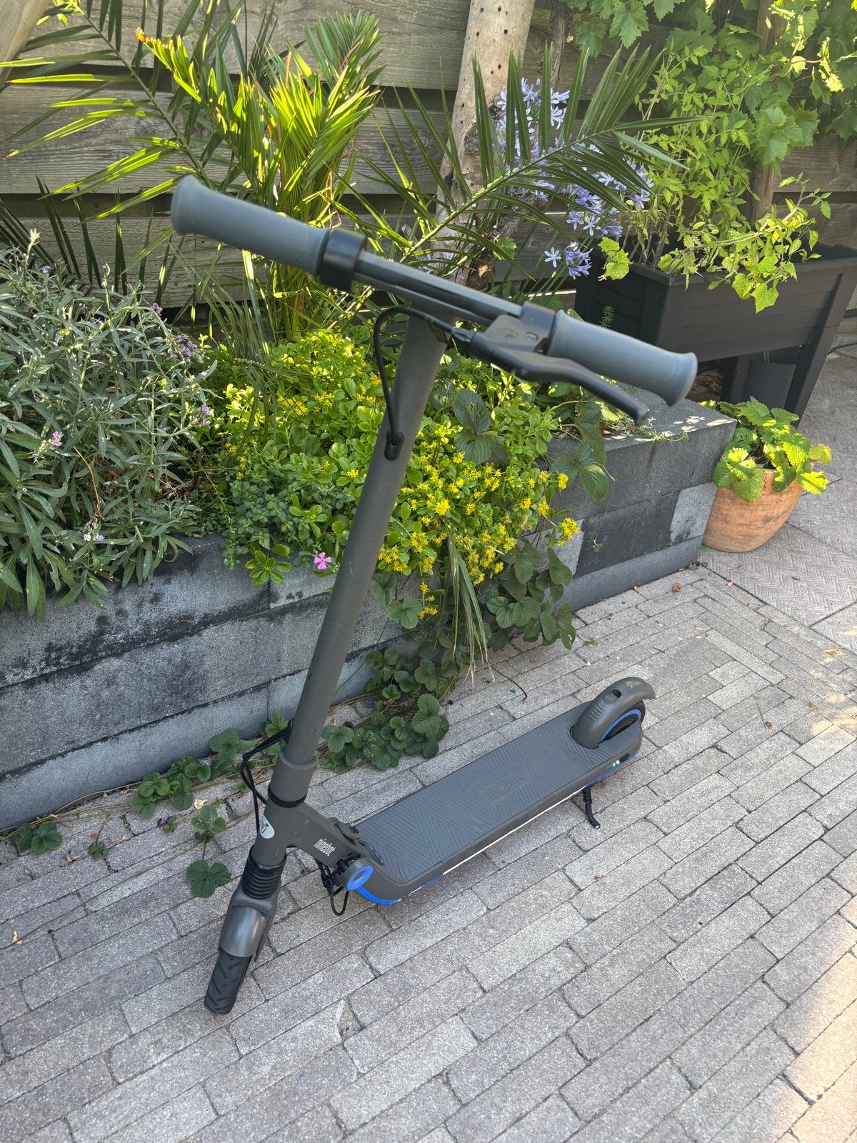 Segway-Ninebot Kickscooter Zing E10, Ophalen, Gebruikt, Elektrische step (E-scooter)