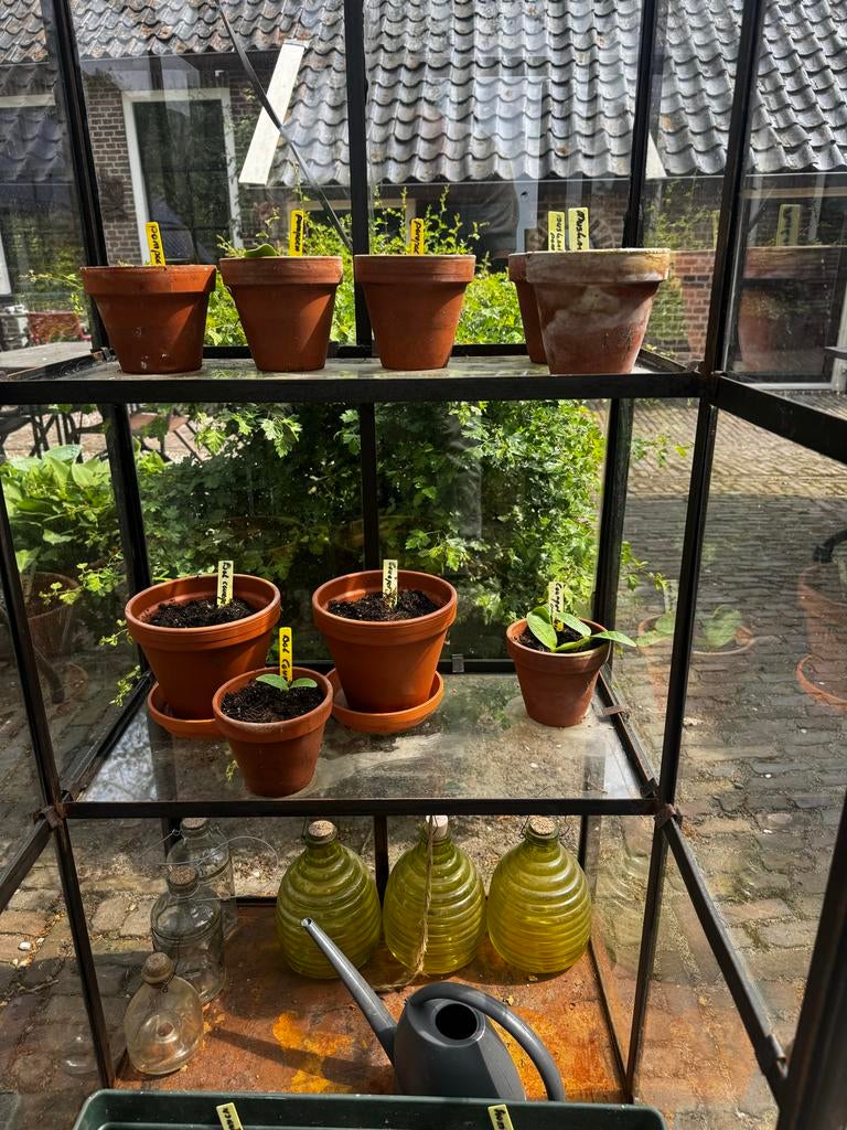 Vintage jaren '30 stijl druivenkas kas greenhouse op wielen, Tuin en Terras, Kweekkas, Zo goed als nieuw, Ophalen, Staal