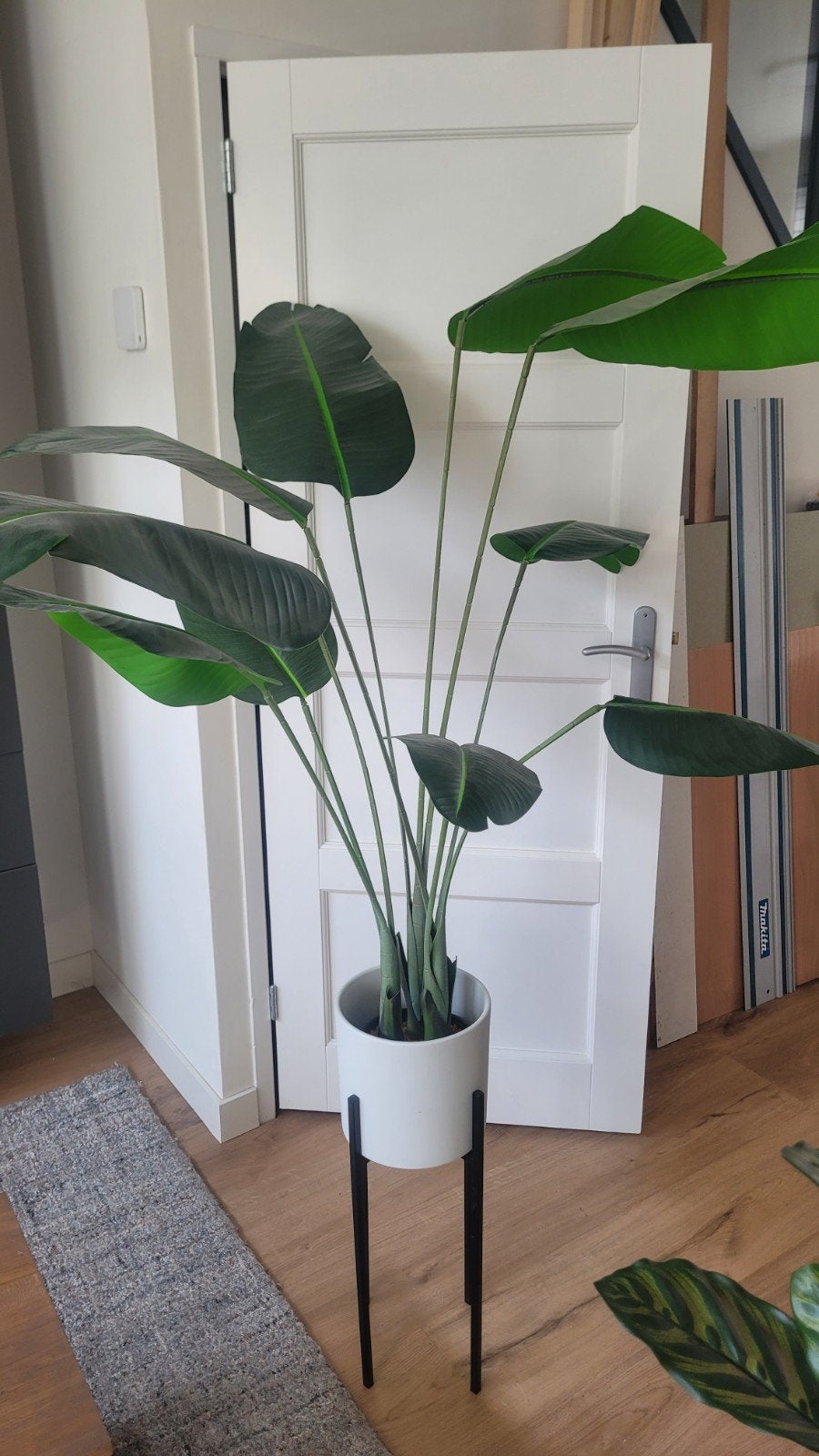 Grote kunstplant - Strelitzia, Huis en Inrichting, Ophalen, Binnen, Groen, Onderhoudsvrij
