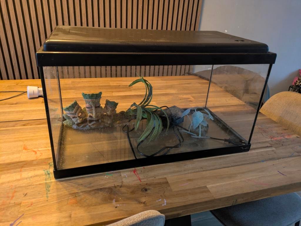 Aquarium met toebehoren, Ophalen, Inclusief toebehoren, Zo goed als nieuw, Leeg aquarium