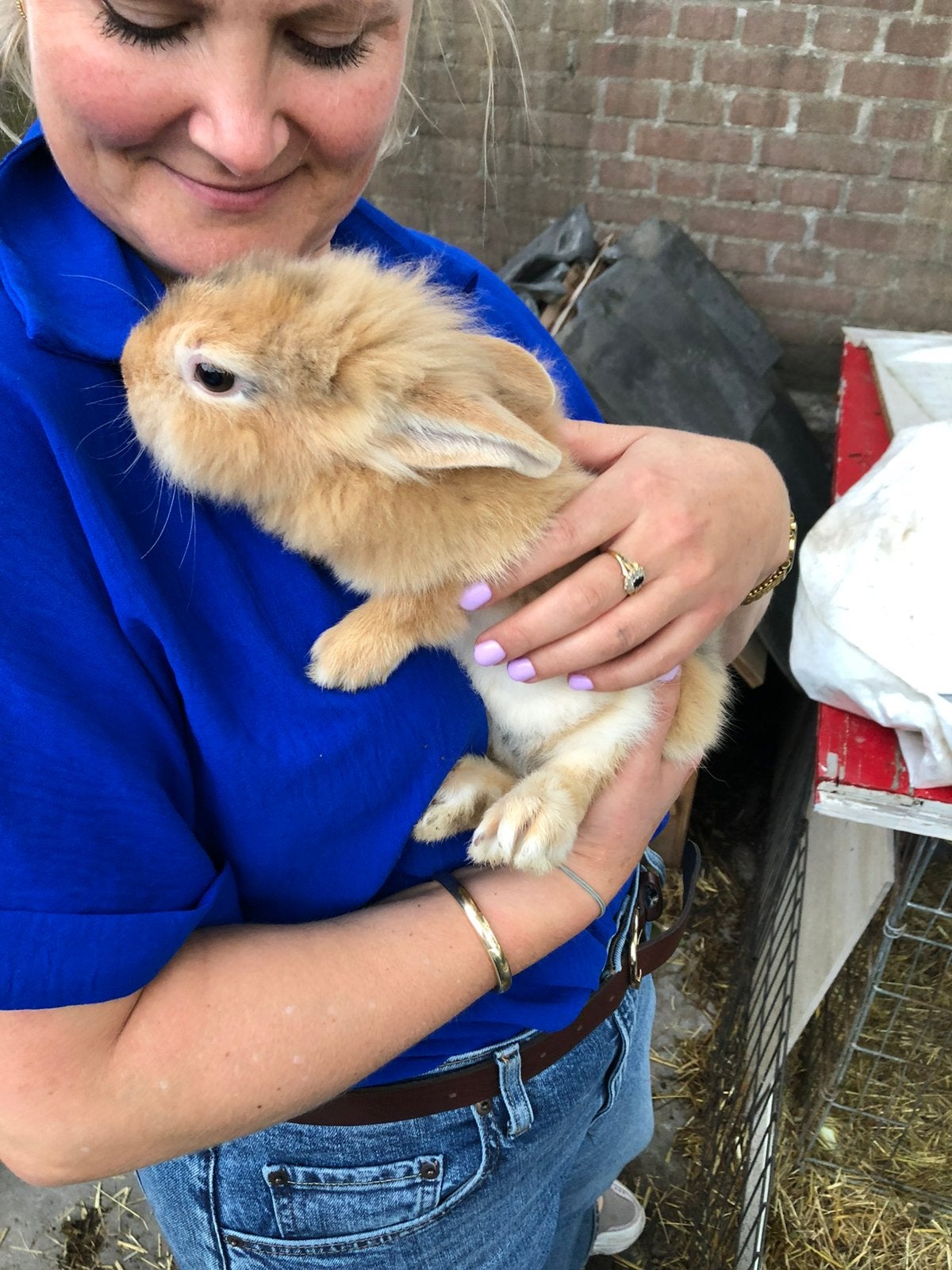 Jong konijn vrouwtje, Dieren en Toebehoren, Konijnen, Vrouwelijk, Dwerg