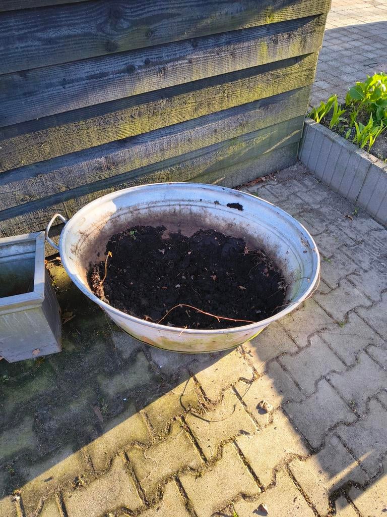Grote zinken teil, intact en mooi als bloembak, Tuin en Terras, Bloembakken en Plantenbakken, Ophalen, Gebruikt, Minder dan 30 cm