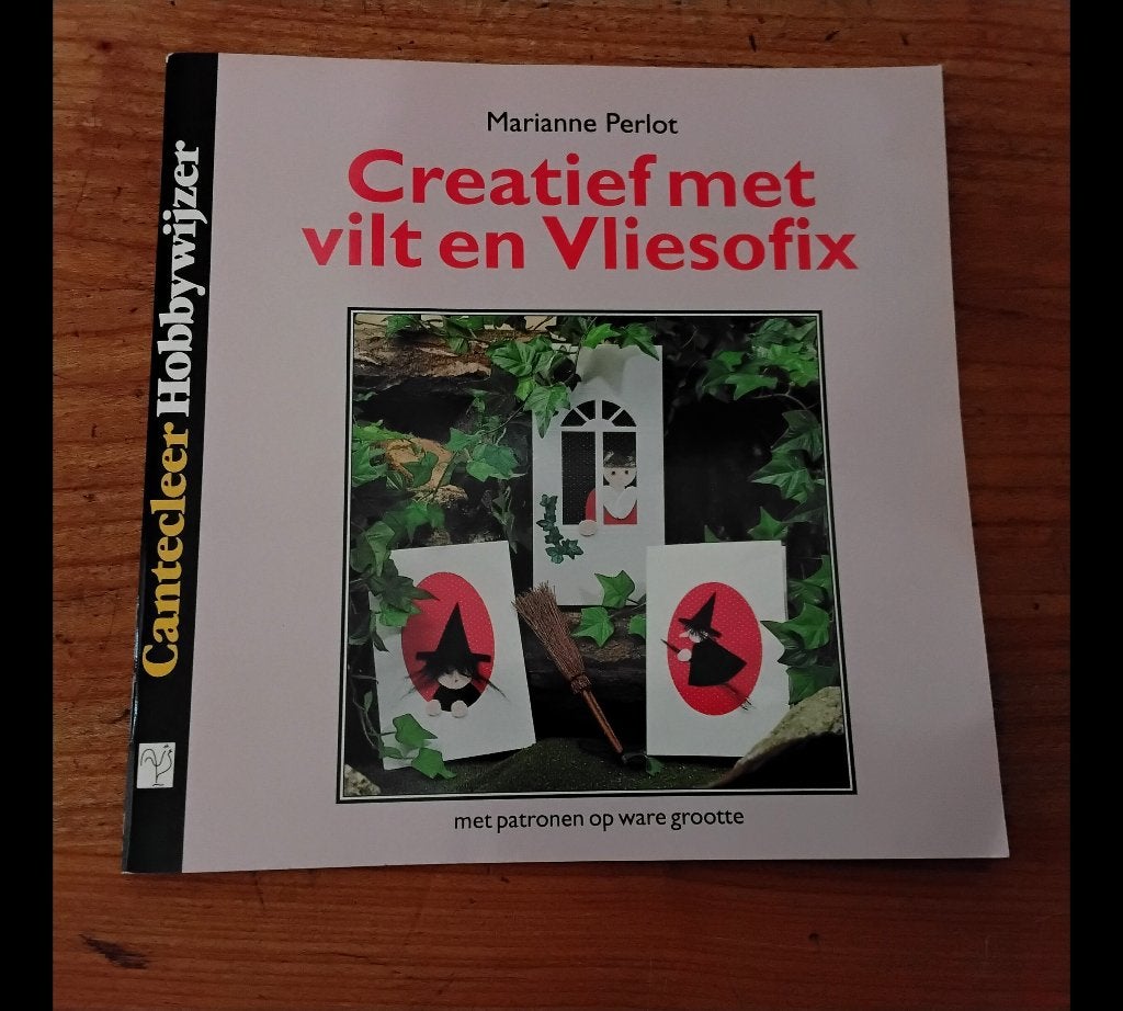 Creatief met vilt en vliesofix - Cantecleer hobbywijzer, Boeken, Ophalen of Verzenden, Gelezen, Overige onderwerpen, Marianne Perlot