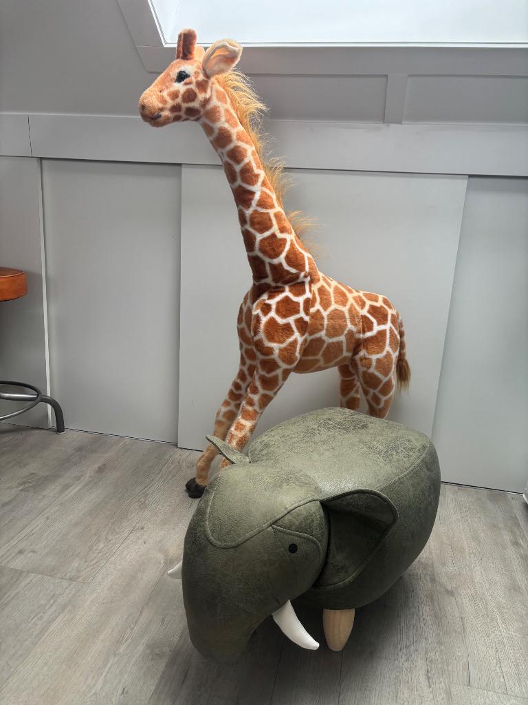 Accessoires jungle kinderkamer, Ophalen, Gebruikt, Overige typen