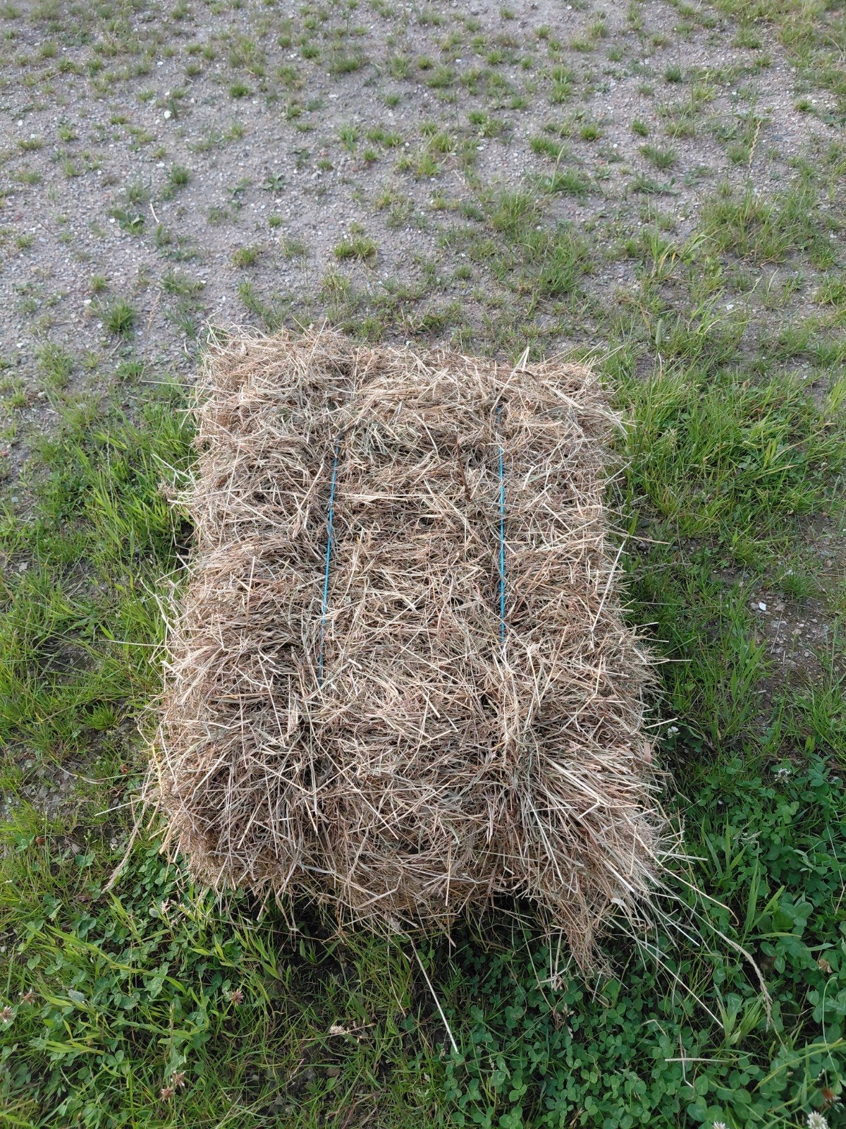 Hooi balen pakjes gras onbespoten biologisch kruidenhooi, Dieren en Toebehoren, Dierenvoeding, Ophalen, Vee