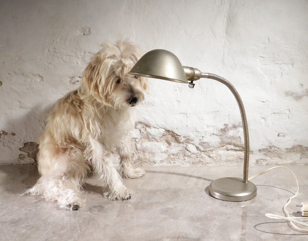 Midgard D.R.G.M. tafel- of wandlamp jaren 30, Ophalen