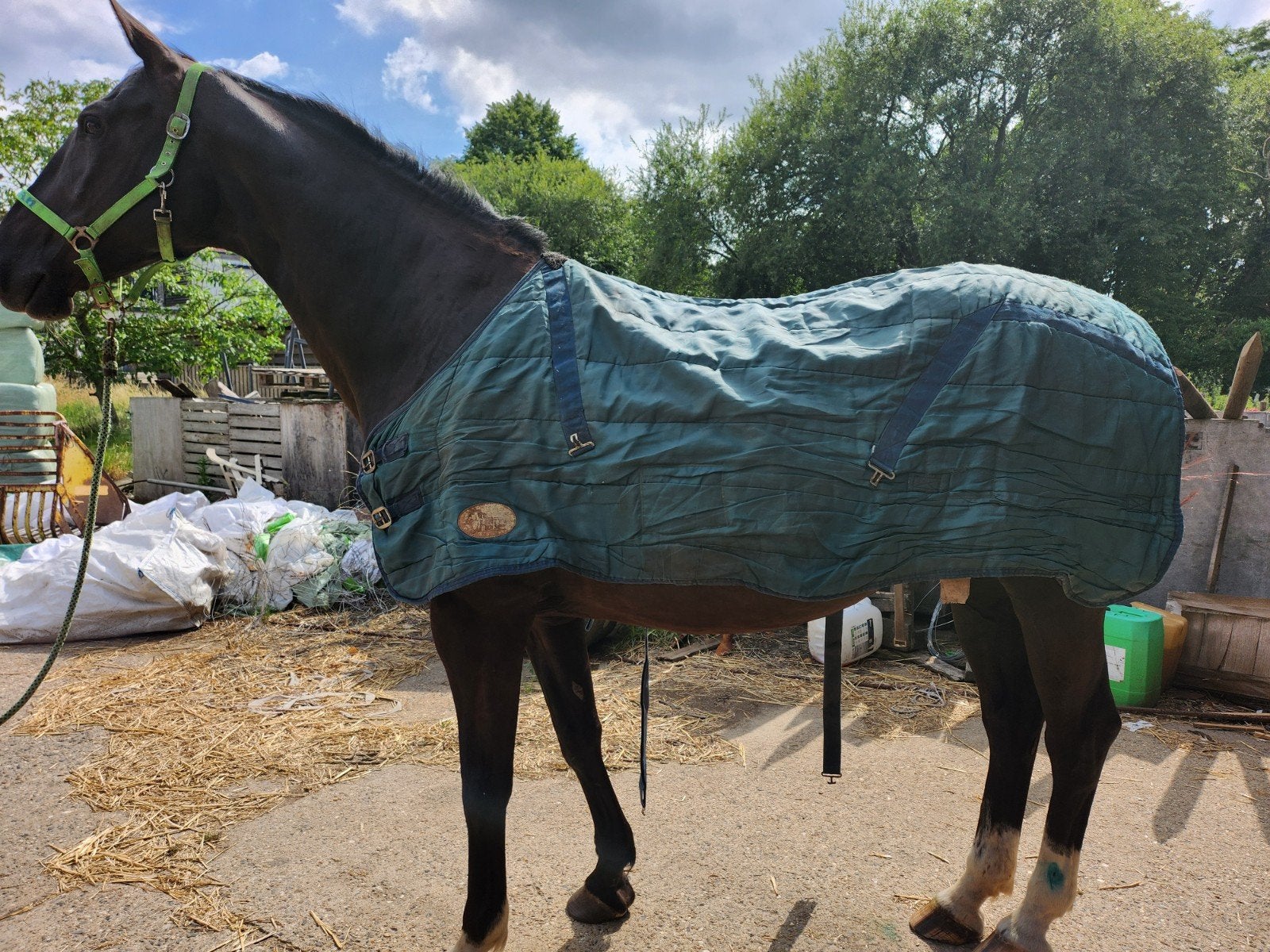 Onderdeken 185, Dieren en Toebehoren, Paarden en Pony's | Dekens en Dekjes, Ophalen of Verzenden, Gebruikt, Deken