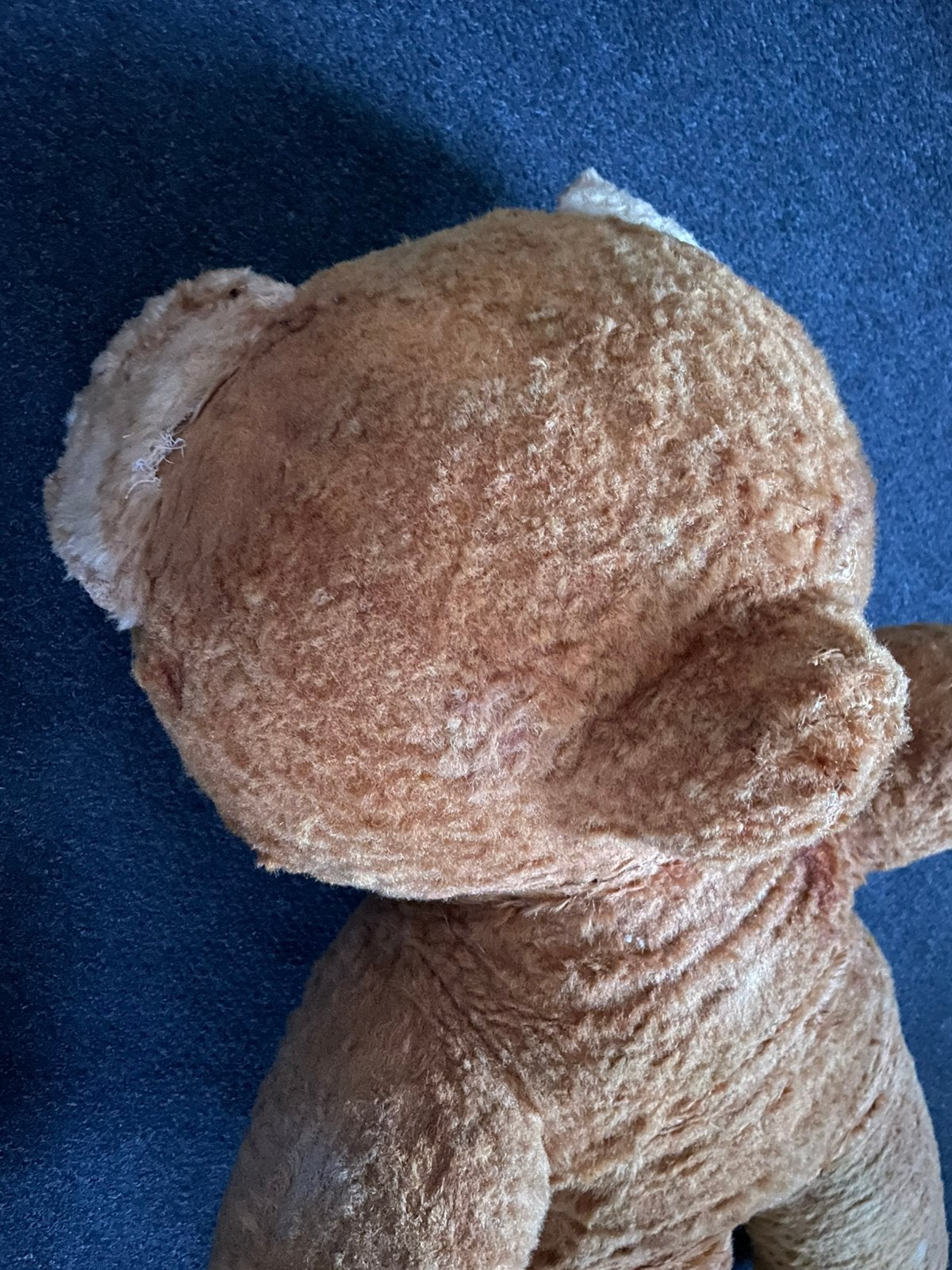 Antieke teddybeer, Ophalen of Verzenden