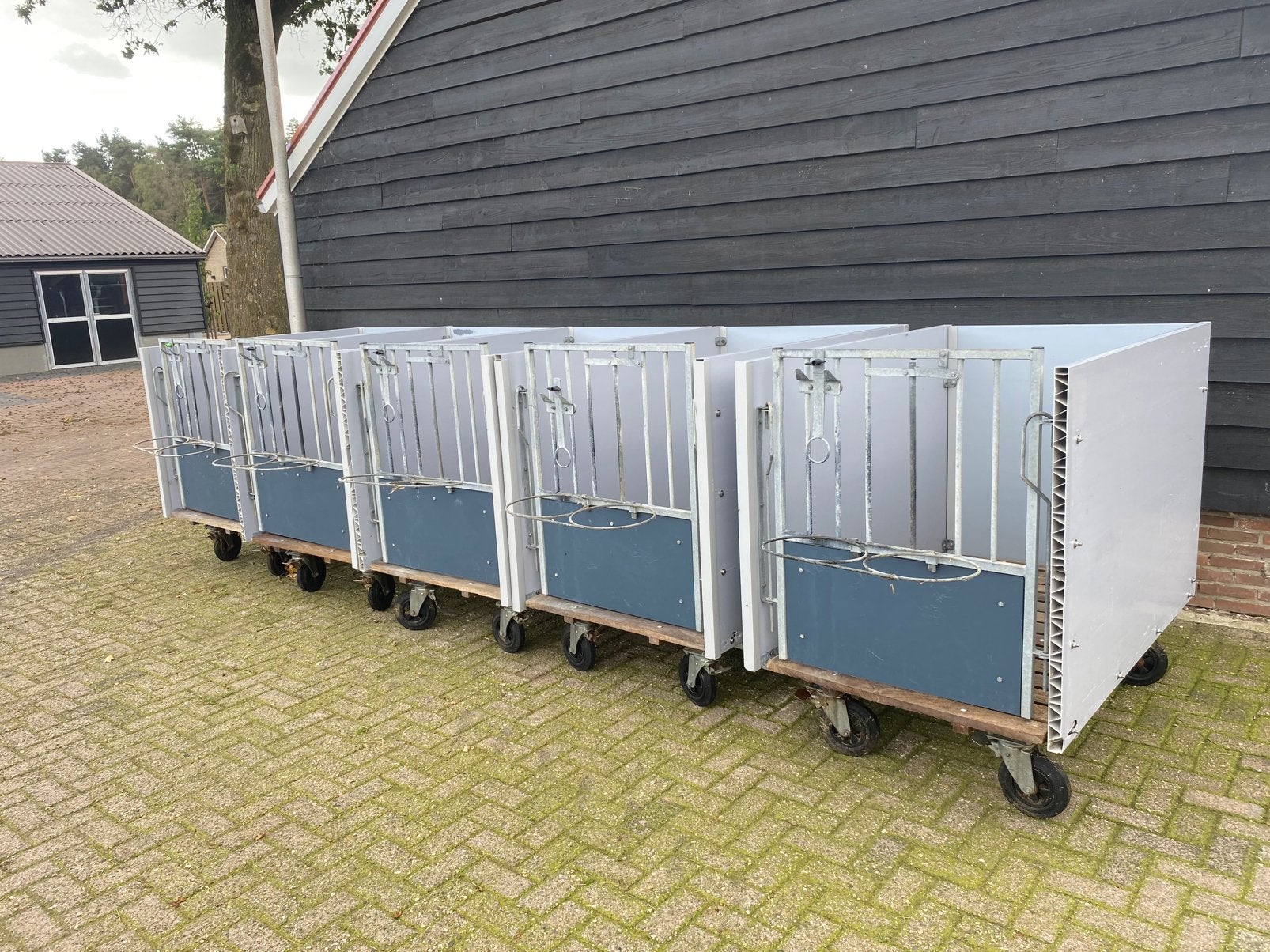 Kalverhokken/eenlingboxen, Zakelijke goederen, Ophalen of Verzenden