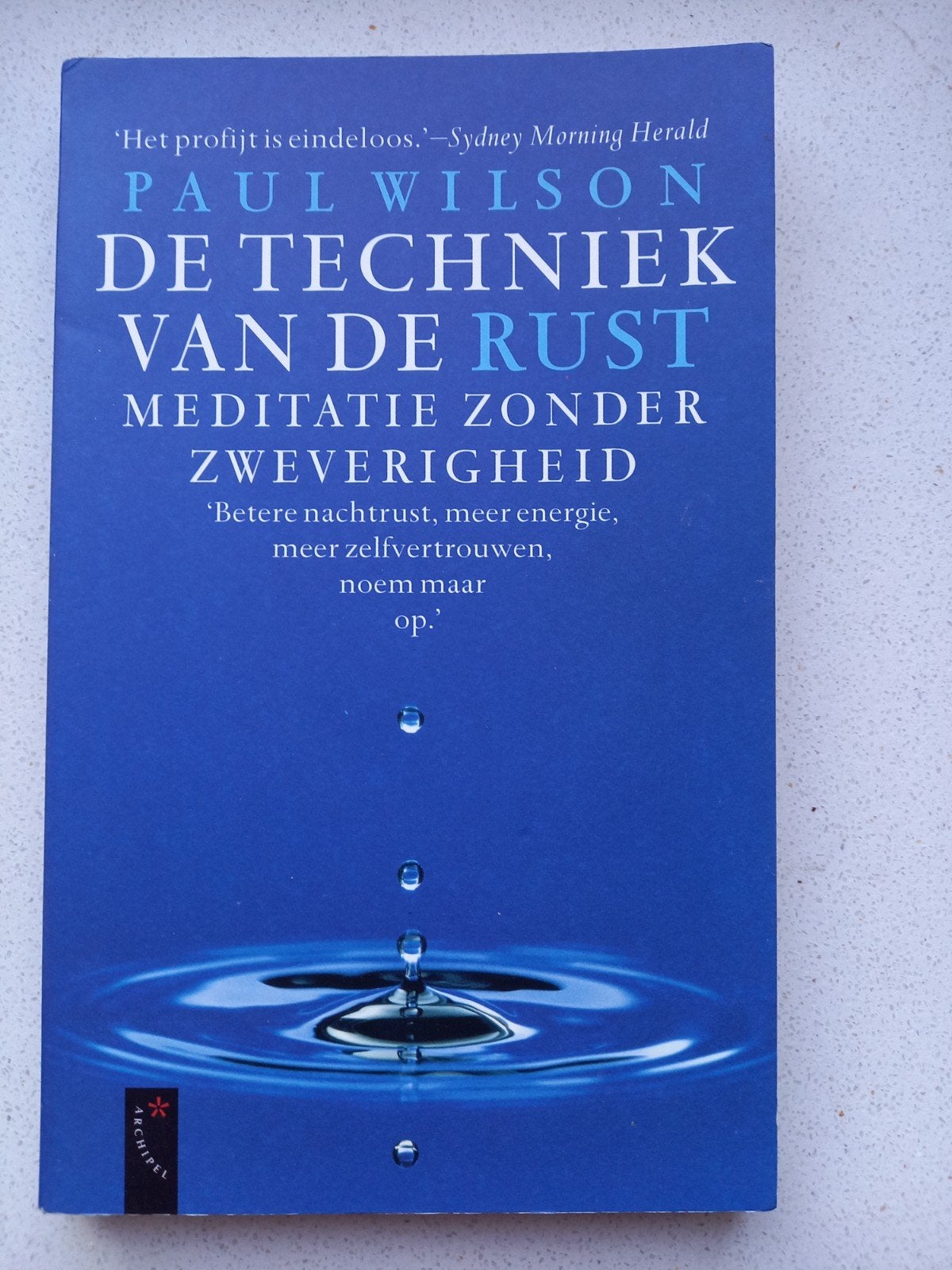 De Techniek van de Rust - Meditatie Zonder Zweverigheid, Boeken, Meditatie of Yoga, Paul Wilson, Ophalen of Verzenden, Zo goed als nieuw