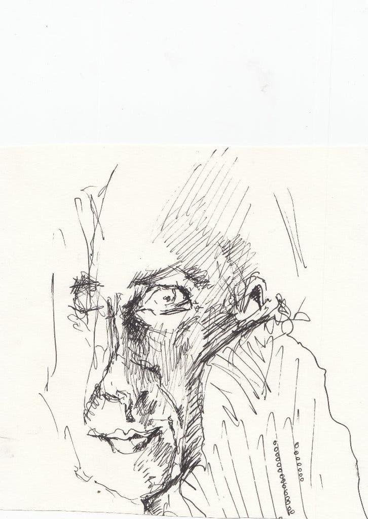 Pentekening portret jaren negentig, Ophalen of Verzenden