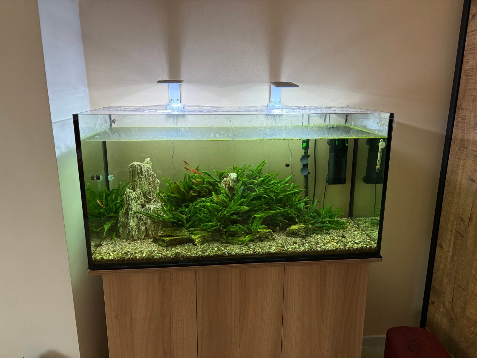 200L aquarium en toebehoren, Ophalen, Leeg aquarium