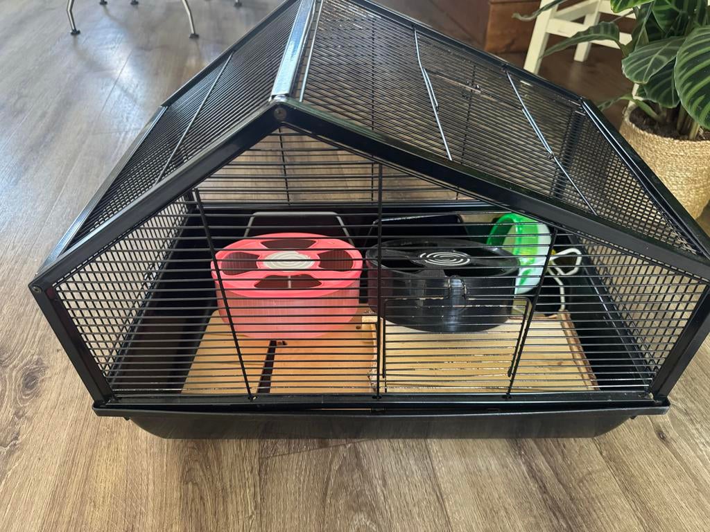 Leuke zwarte hamsterkooi, Ophalen, Minder dan 75 cm, Hok, Minder dan 60 cm