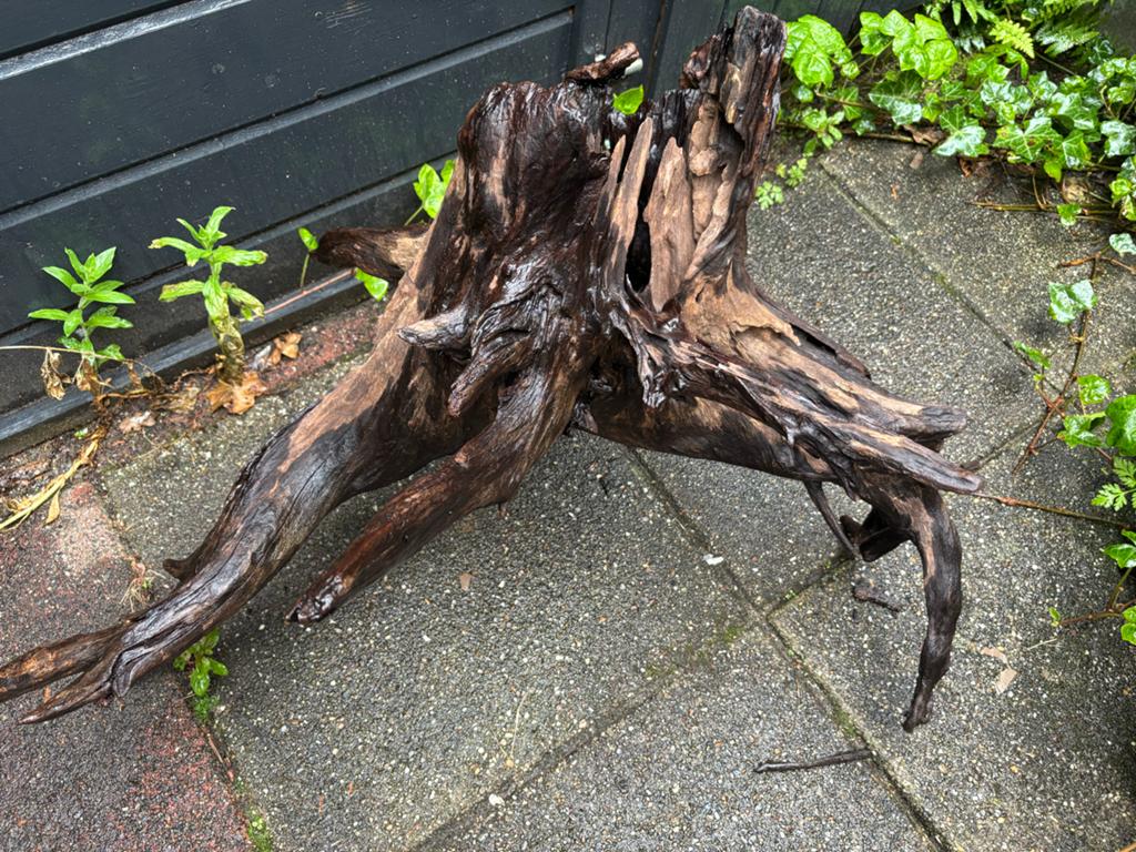 Twee grote stukken aquarium hout, Ophalen, Plant(en), Steen of Hout