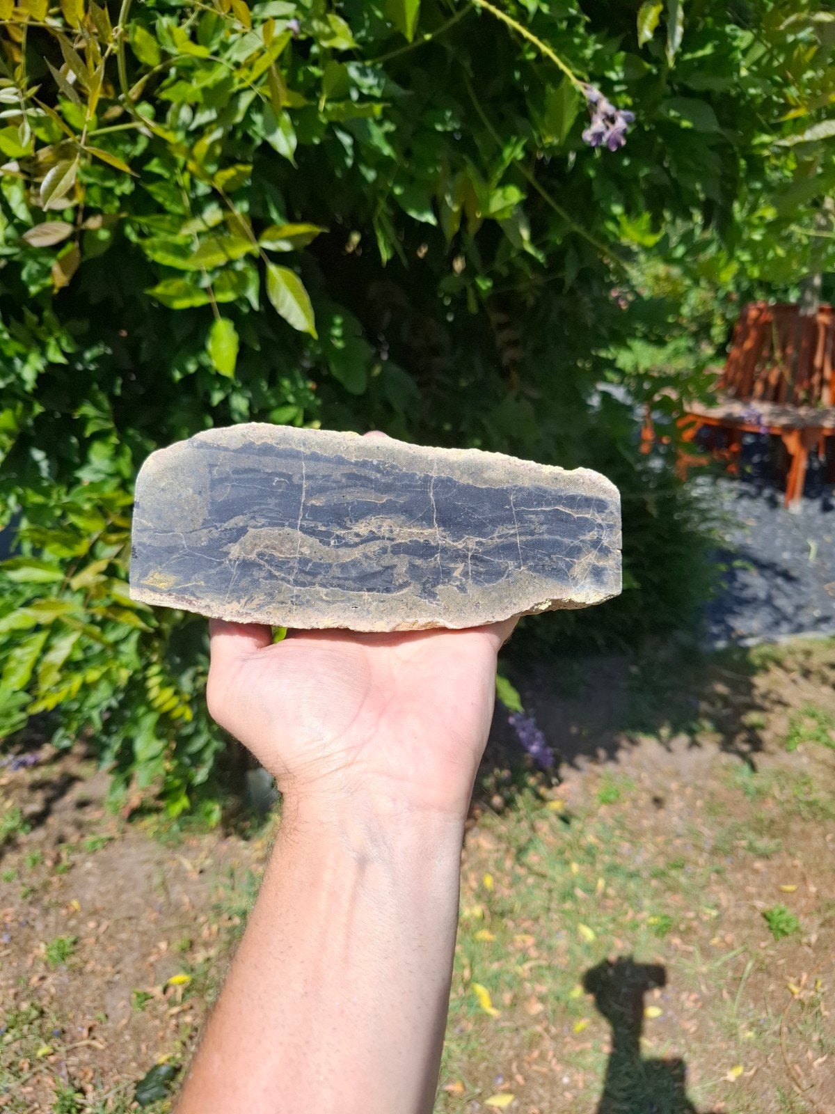 Versteend hout Indonesie gepolijst, Verzamelen, Ophalen of Verzenden, Mineraal