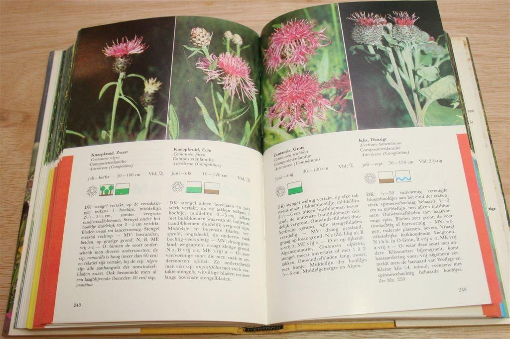 Thieme's Veldflora — 600 West- en Middeneuropese Planten, Ophalen of Verzenden, Gelezen, Bloemen, Planten en Bomen