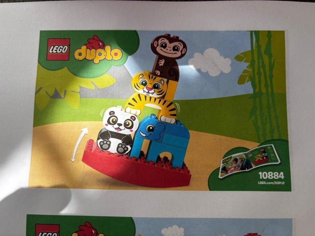 Duplo Mijn eerste balancerende dieren (10884), Overige thema's, Ophalen of Verzenden, Zo goed als nieuw, Compleet