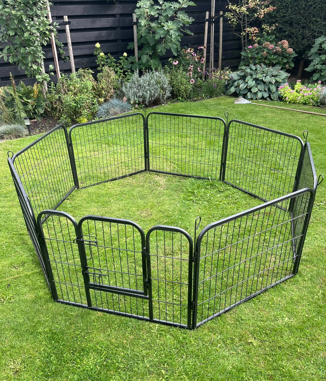 Puppyren 60 cm hoog, Dieren en Toebehoren, Ophalen, Gebruikt, Overige typen