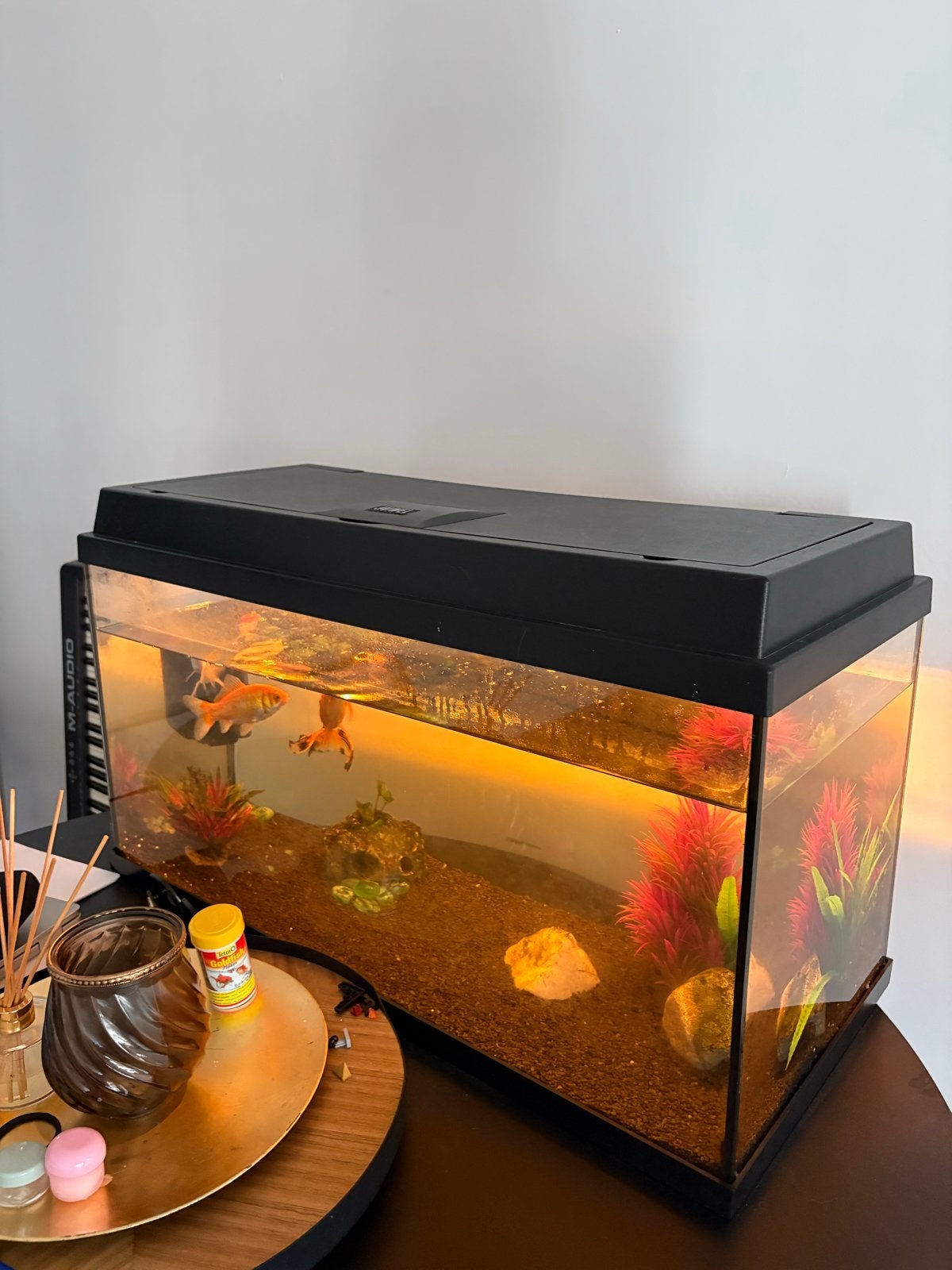 Aquarium 80cm breed incl. 3 vissen!, Ophalen, Zo goed als nieuw, Gevuld zoetwateraquarium