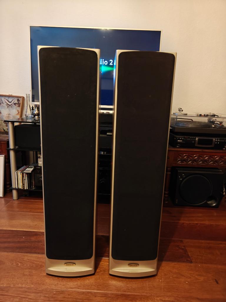 Tannoy Saturn S6 luidsprekers, Zo goed als nieuw, 60 tot 120 watt, Front, Rear of Stereo speakers, Ophalen