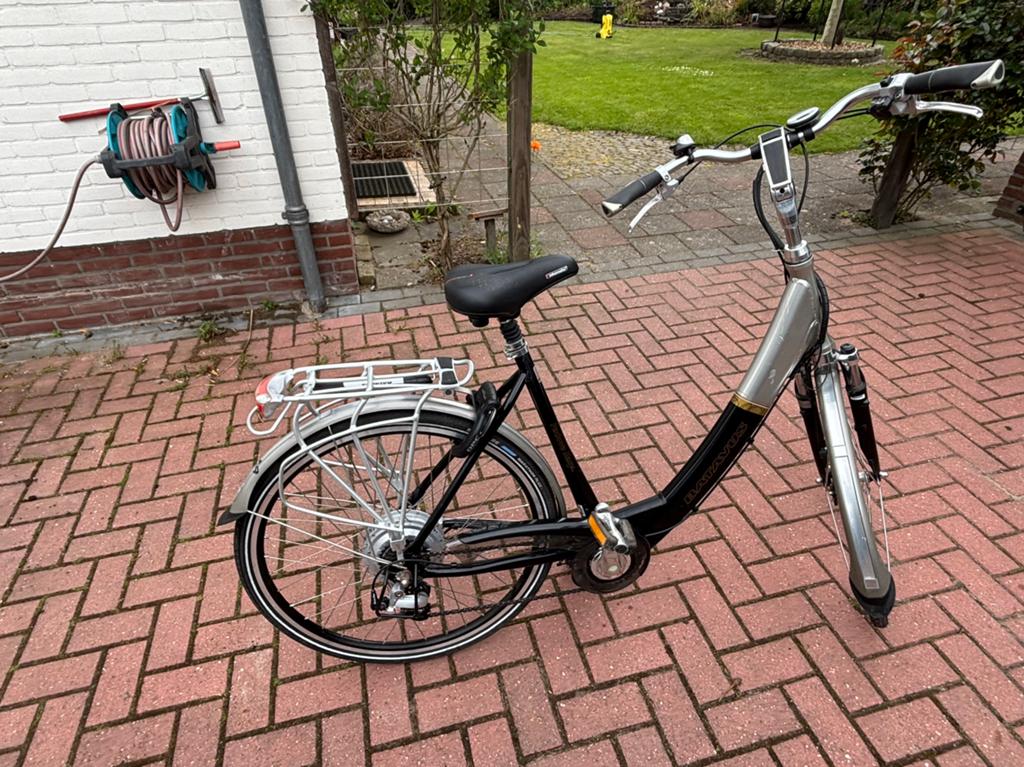 Batavus Padova Easy E-bike met foutcode, Fietsen en Brommers, Fietsen | Dames | Damesfietsen, Sparta, Ophalen of Verzenden, 50 tot 53 cm