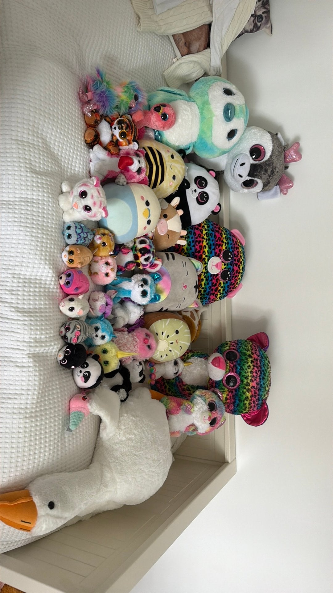 Knuffels, Beany boo’s en squesmallows, Ophalen, Zo goed als nieuw