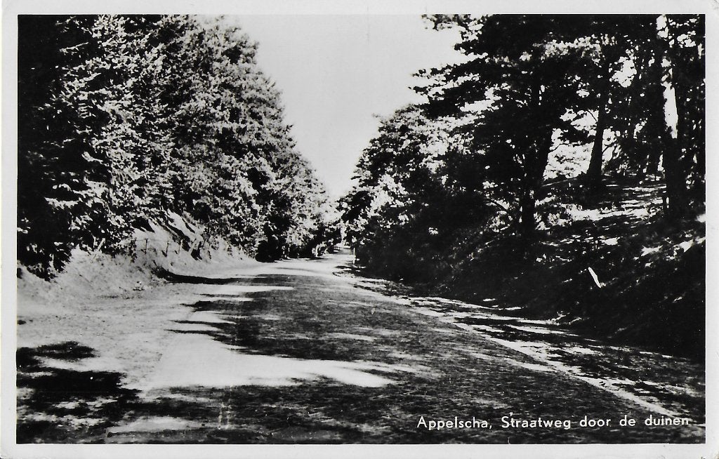 oude ansichtkaart appelscha straatweg door de duinen ( 137), Ophalen of Verzenden, 1960 tot 1980, Gelopen, Noord-Brabant