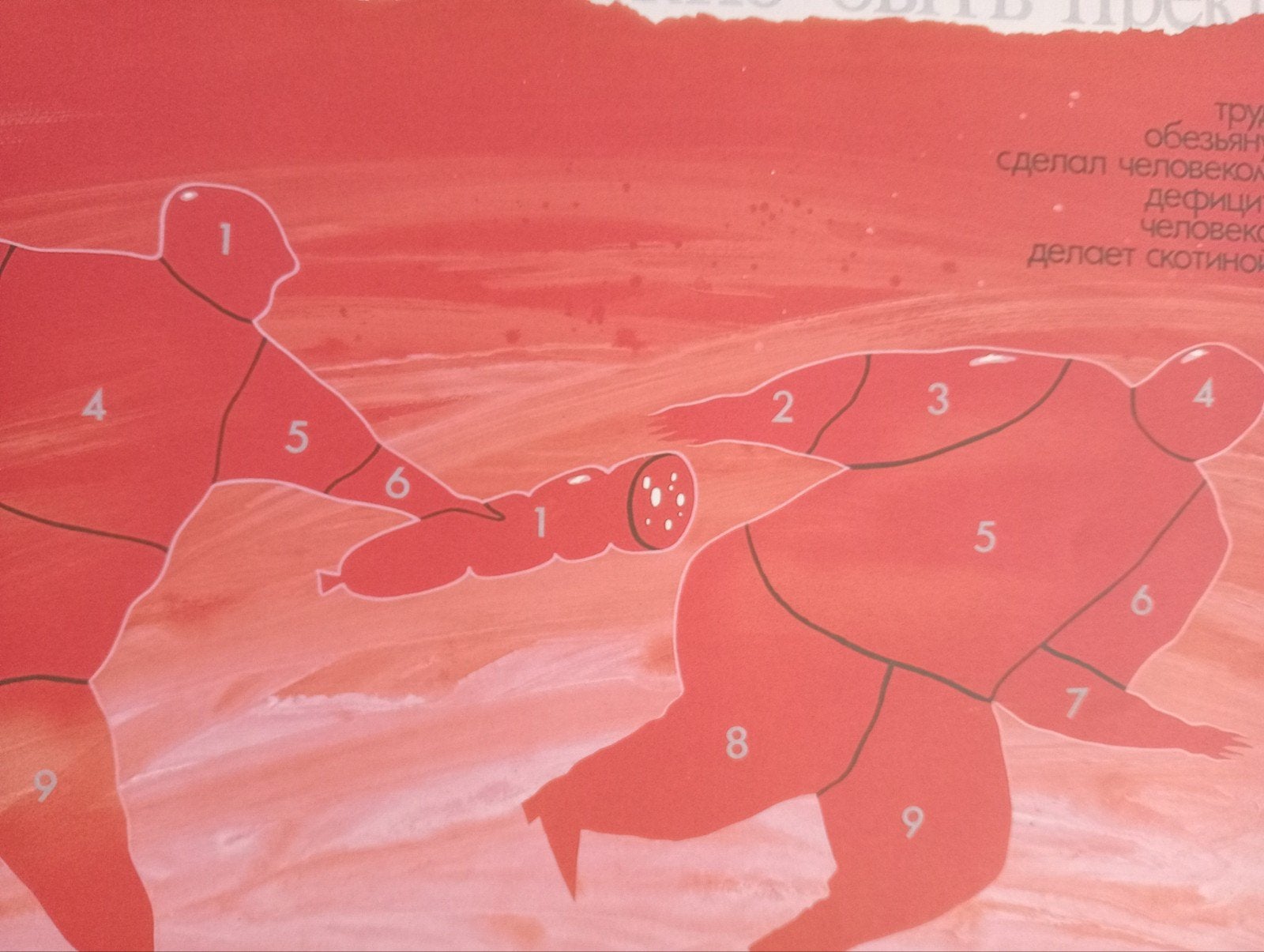 Tsjechow affiche poster Rusland 1986, Ophalen of Verzenden, A1 t/m A3