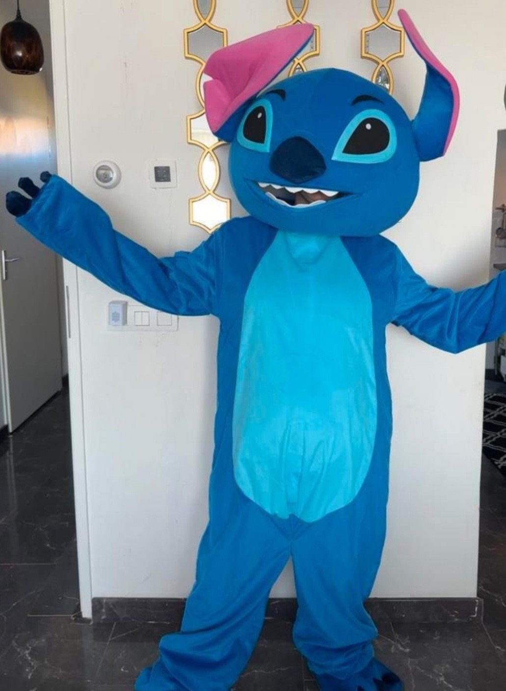 Feestje onze mascotte met begeleider, Hobby en Vrije tijd, Feestartikelen | Verhuur, Ophalen of Verzenden, Verjaardag