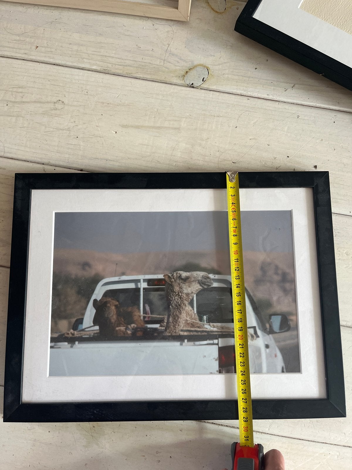 Ingelijste foto van kamelen op een pick-up, Ophalen, Gebruikt, Ingelijst werk, Hout