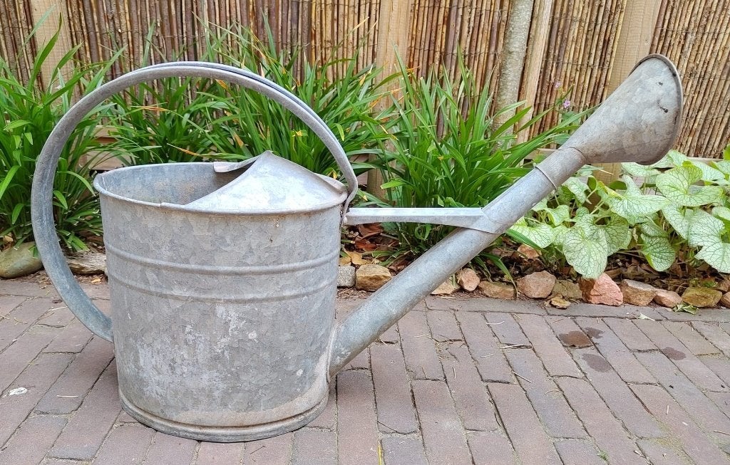 Gieter met sproeier oud zink 7,5 liter als sierobject, Ophalen of Verzenden, Gebruikt, Metaal