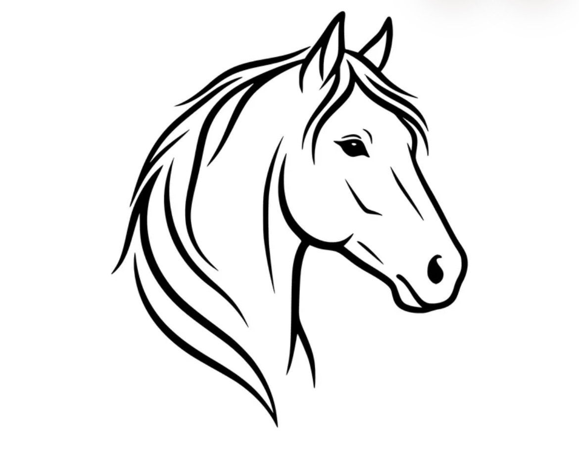 Bijrijder / verzorger paard aangeboden verzorg paard gezocht, Dieren en Toebehoren, Ophalen of Verzenden, Nieuw