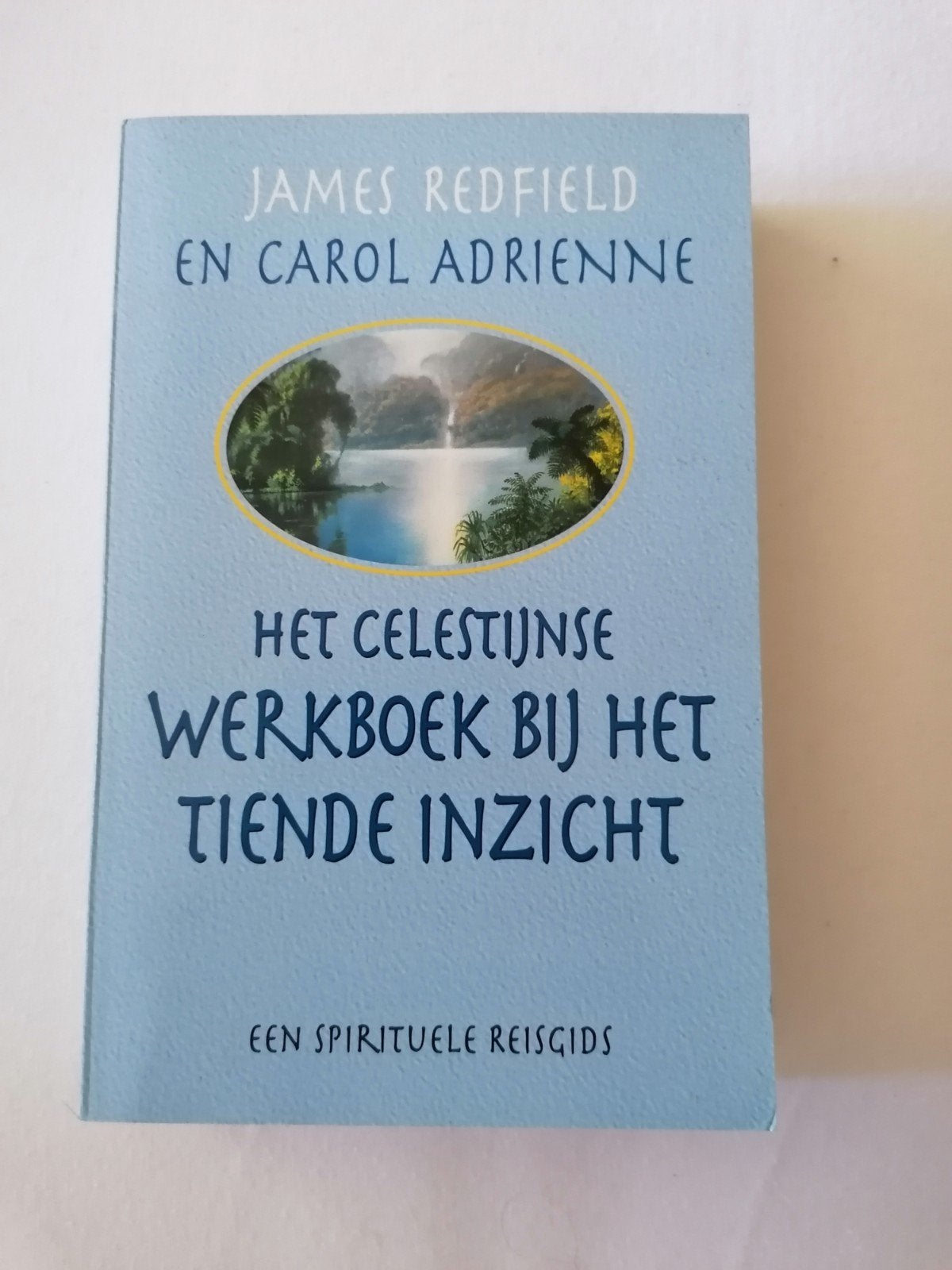 Het Celestijnse Werkboek bij het Tiende Inzicht, Ophalen of Verzenden, Gelezen, Spiritualiteit algemeen
