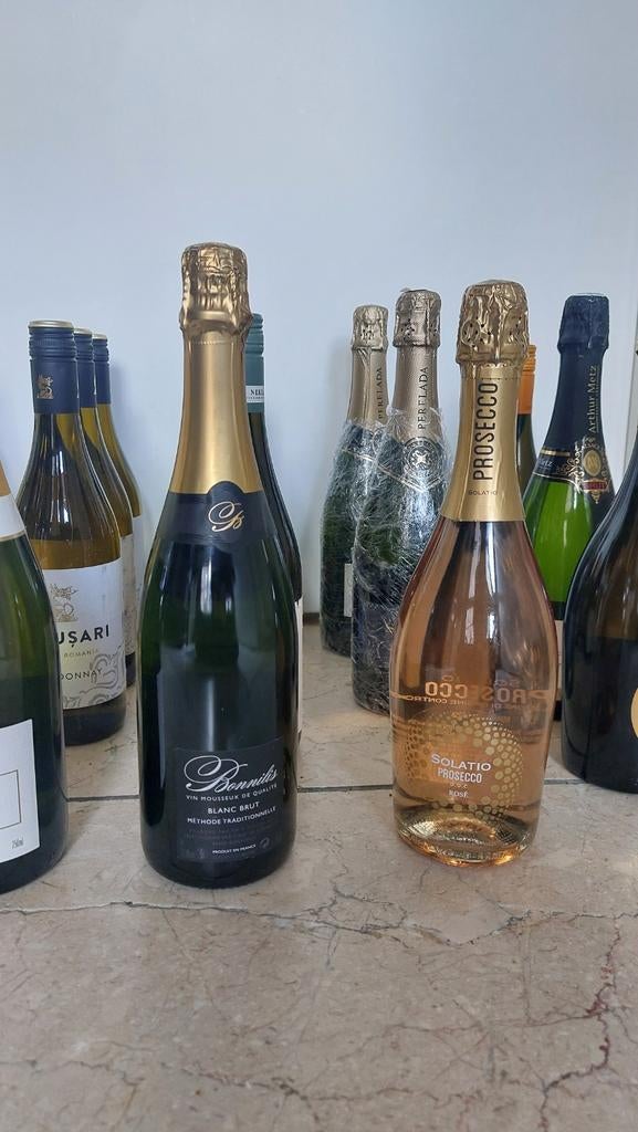 Wijn Cava Champagne Proseco Chardonnay 23 flessen, Ophalen, Frankrijk, Nieuw, Champagne