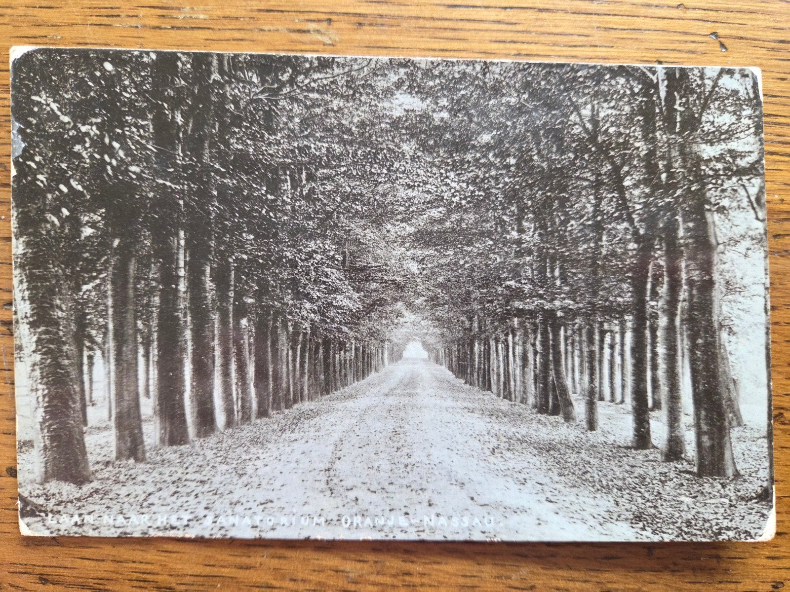 Wageningen, Laan naar het Sanatorium Oranje Nassau, 1912, Verzamelen, Ophalen of Verzenden, Voor 1920, Gelderland