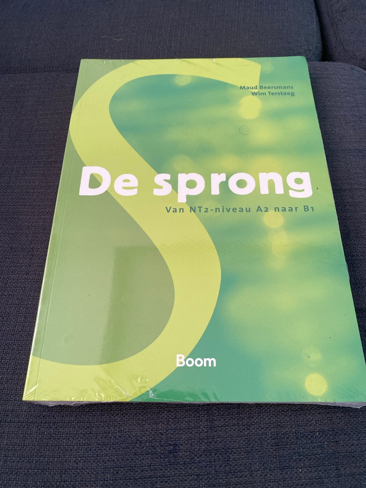 De sprong: Van NT2-niveau A2 naar B1 (Nieuw), Boeken, Ophalen of Verzenden, Nieuw, Non-fictie