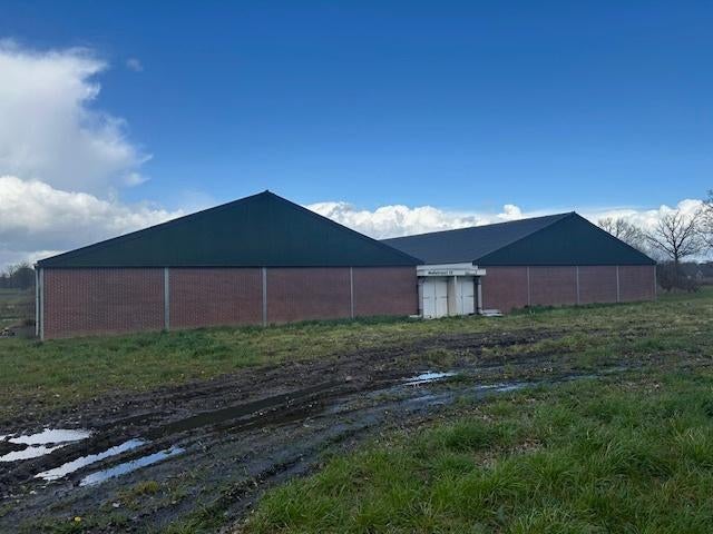 stal, schuur, loods, hal, constructie, Zakelijke goederen, Agrarisch | Agrarisch Onroerend goed, Ophalen of Verzenden, Varkenshouderij