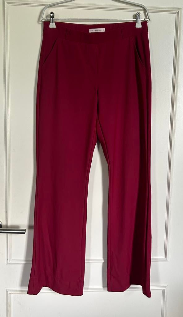 Rode, Wijnrode Studio Anneloes Flaired Bonded broek L, Kleding | Dames, Grote Maten, Ophalen of Verzenden, Zo goed als nieuw, Rood