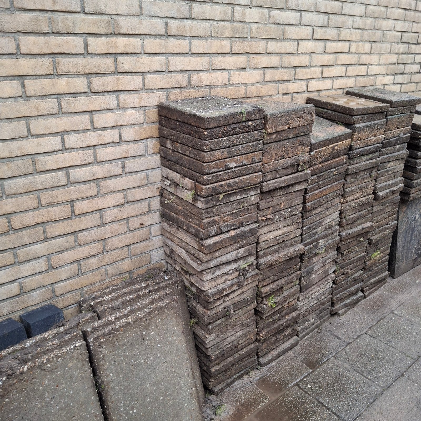 30x30 stoeptegels gratis, Tuin en Terras, Ophalen of Verzenden, Gebruikt, Beton, Terrastegels